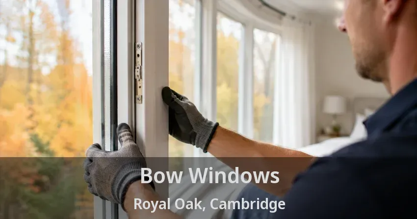 Bow Windows Royal Oak, Cambridge - ON