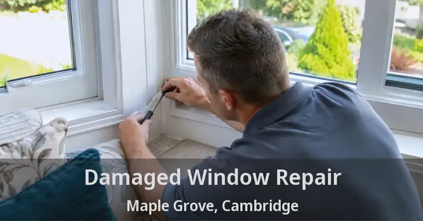 Damaged Window Repair Maple Grove, Cambridge - ON