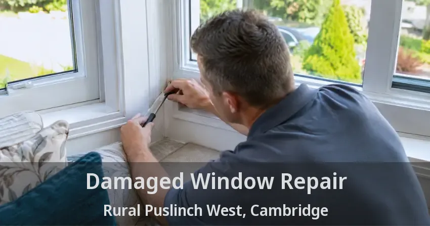 Damaged Window Repair Rural Puslinch West, Cambridge - ON