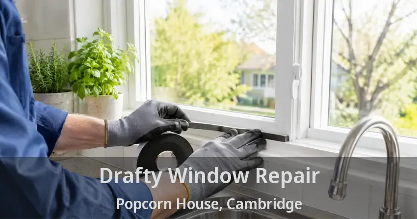 Drafty Window Repair Popcorn House, Cambridge - ON