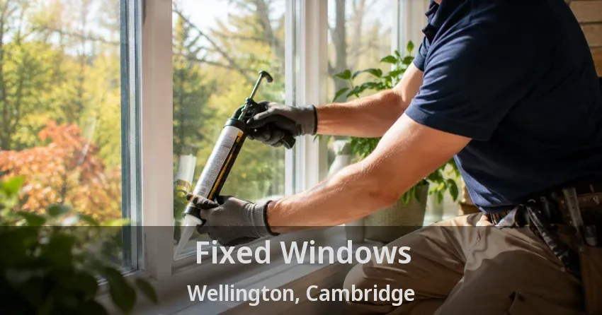 Fixed Windows Wellington, Cambridge - ON