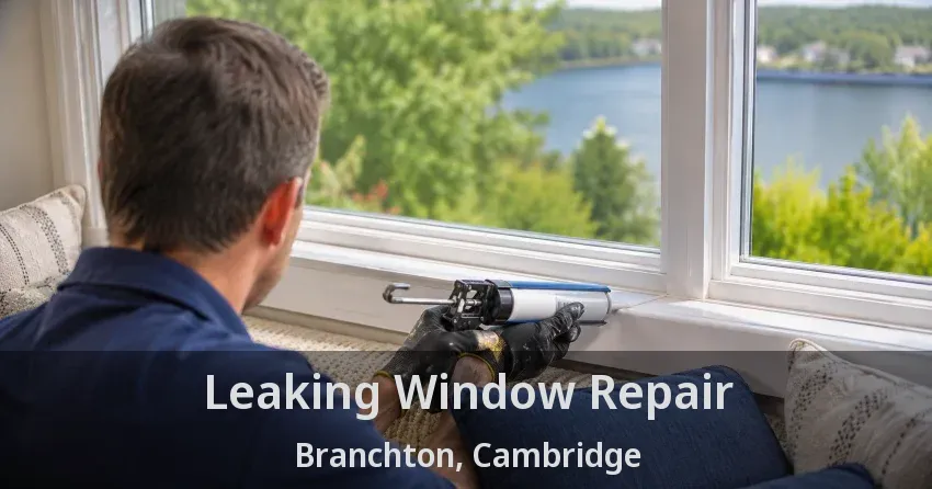 Leaking Window Repair Branchton, Cambridge - ON