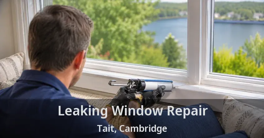 Leaking Window Repair Tait, Cambridge - ON