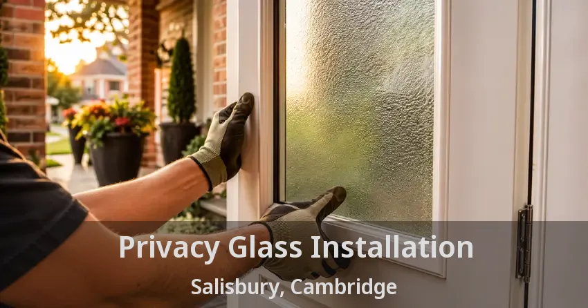 Privacy Glass Installation Salisbury, Cambridge - ON
