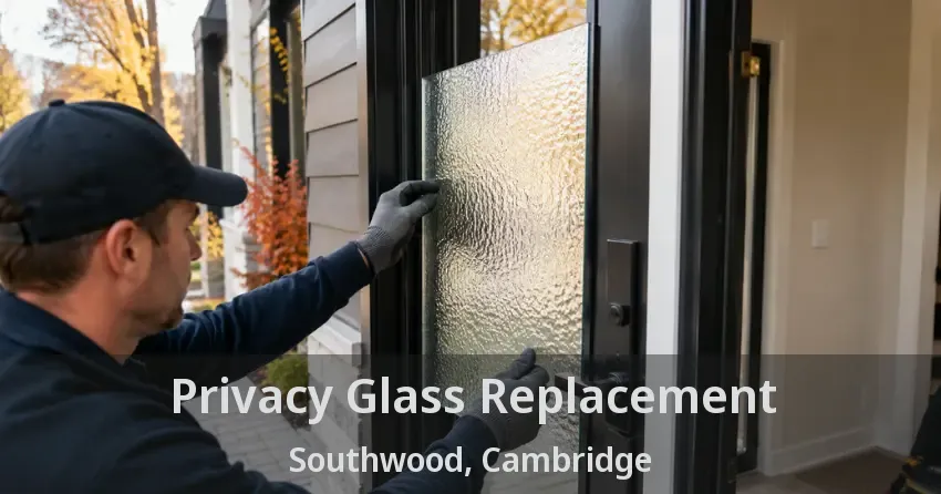 Privacy Glass Replacement Southwood, Cambridge - ON