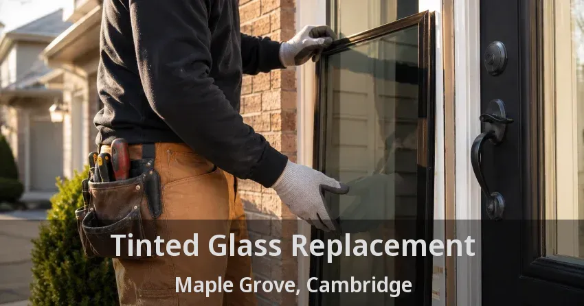 Tinted Glass Replacement Maple Grove, Cambridge - ON