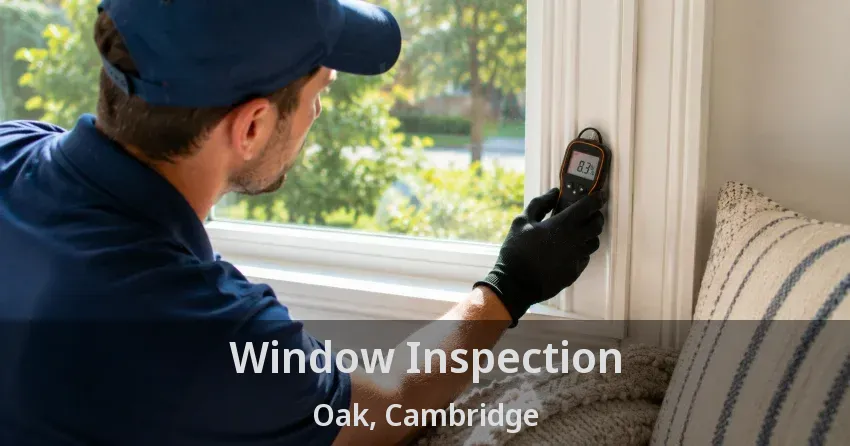 Window Inspection Oak, Cambridge - ON